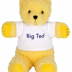 Toyworld Aus BIG TED PLUSH 18CM