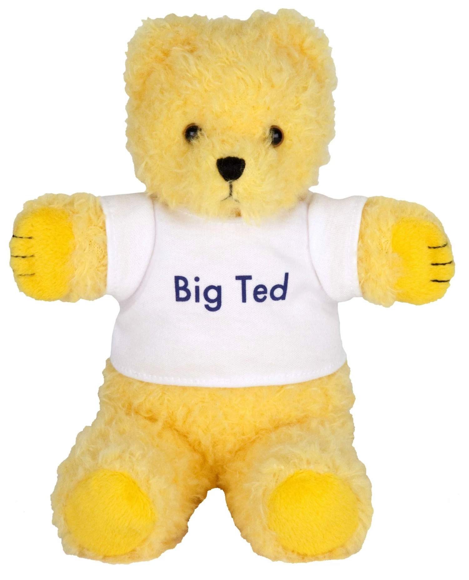 Toyworld Aus BIG TED PLUSH 18CM