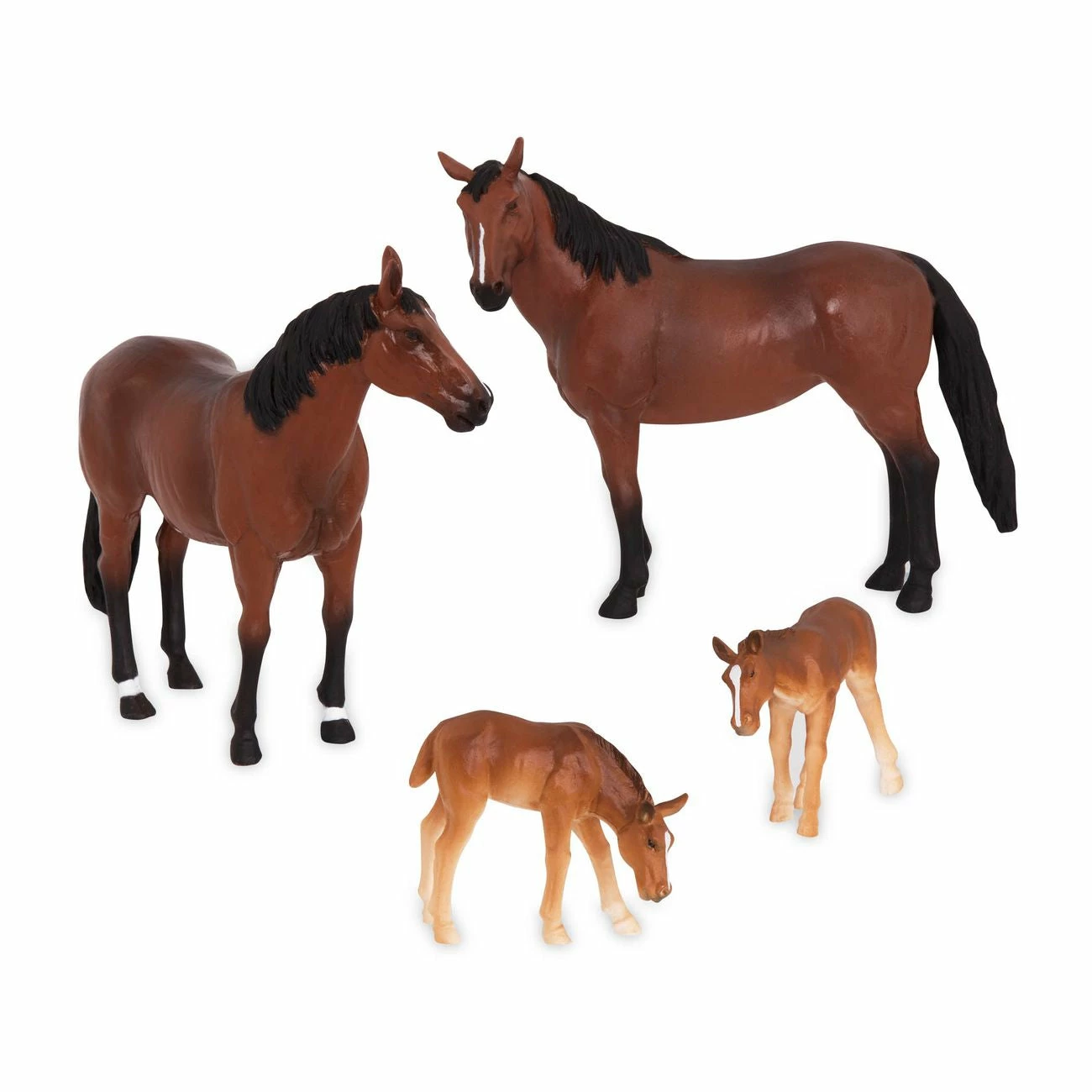 TERRA HORSE FAMILY