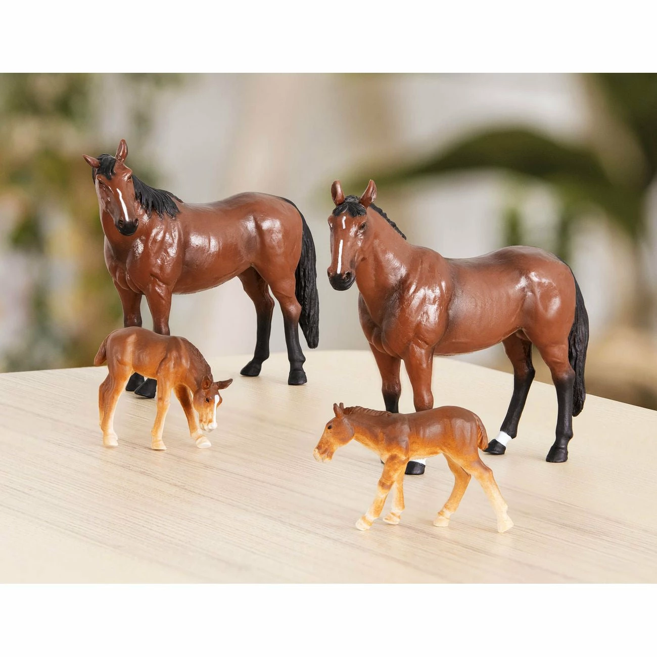 TERRA HORSE FAMILY - Image 3