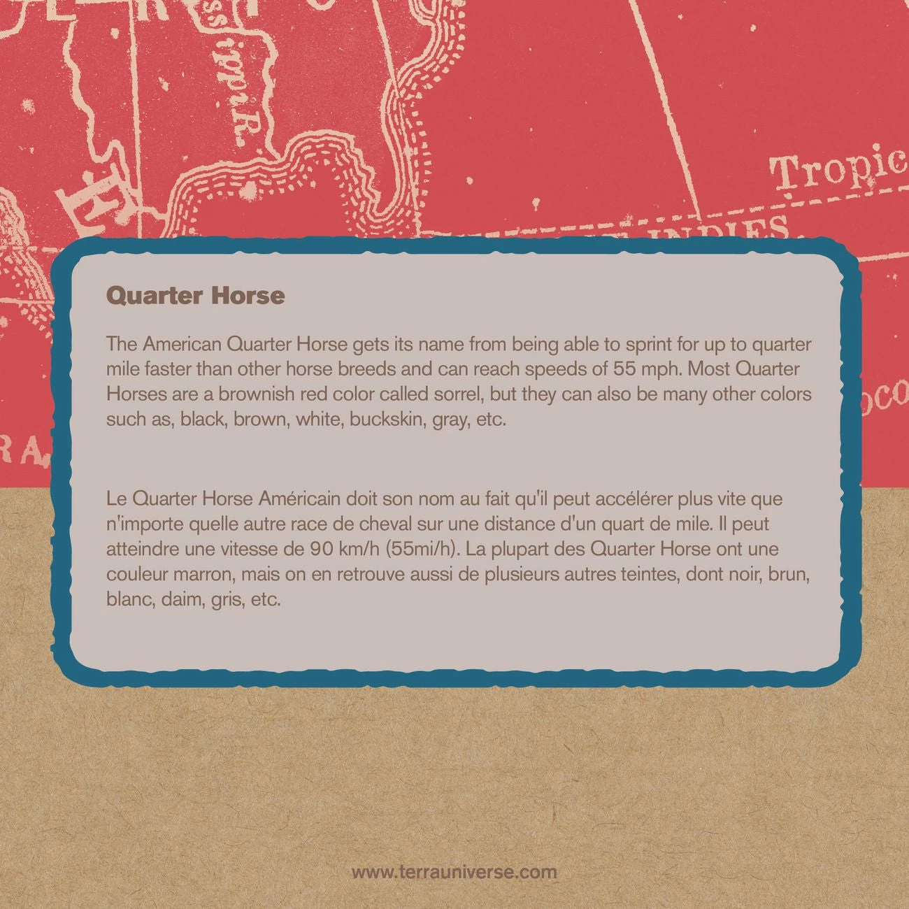 TERRA HORSE FAMILY - Image 4